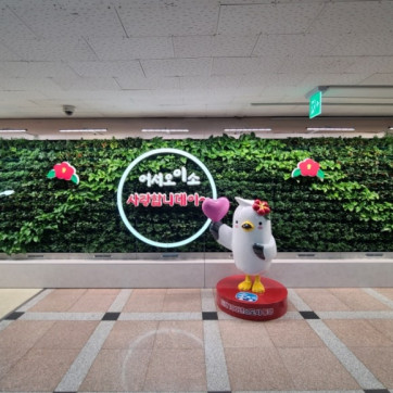 통영 시청 실내정원 조성