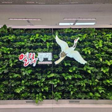 부산 동래구청 실내정원 조성